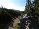 Passo Staulanza - Monte Pena